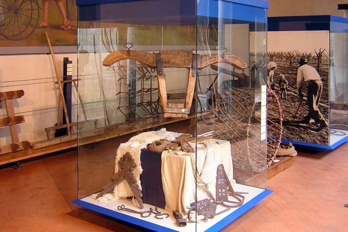 Turismo museo dellagricoltura